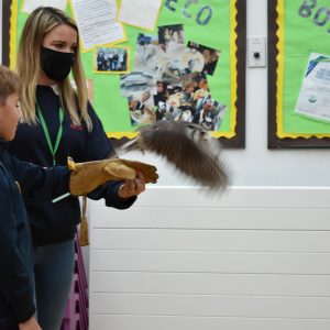 school boy holding a bird of prey